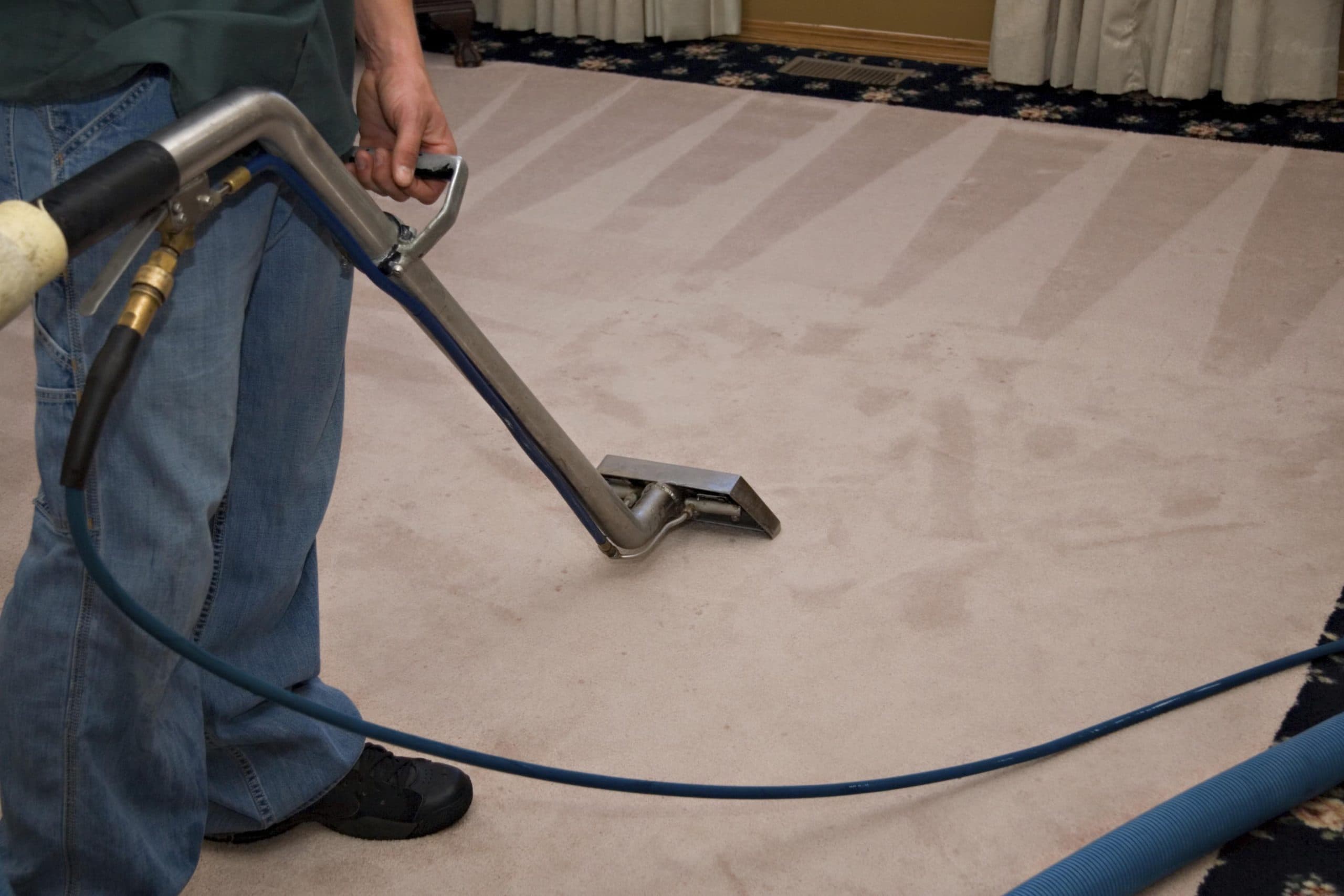 Which Type of Carpet Is Best For Your Home?