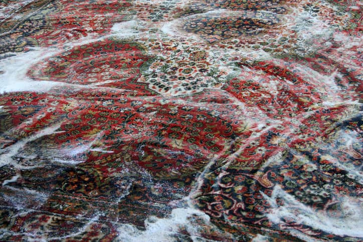 The Top Rug Cleaning Myths Debunked for Leesburg Homeowners