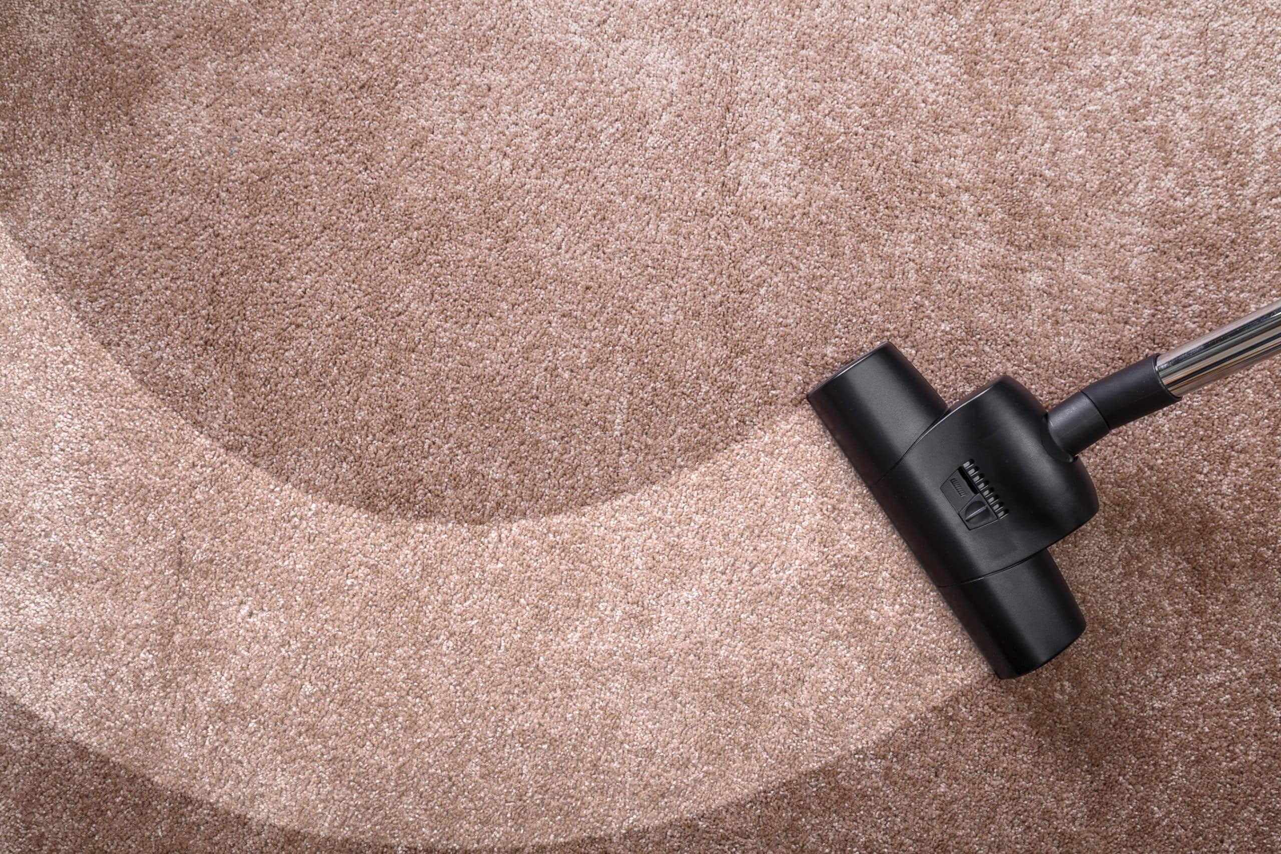 Why Regular Carpet Cleaning Is Essential for Leesburg Homeowners